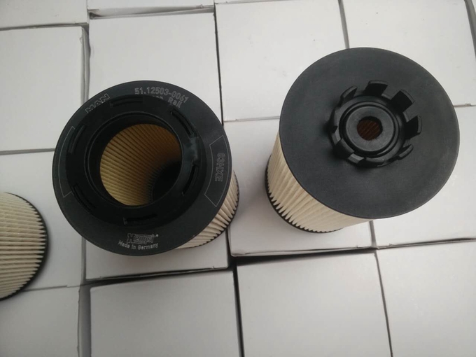 15*15*28cm 1kg Truck dầu diesel Filter 12503-0061 Lion dầu diesel Filter 0